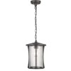* Outdoor Lighting|Best Deal Patriot Lighting® Leonard Ii Bronze Led Outdoor Pendant