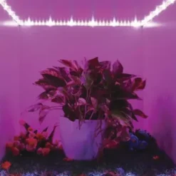 * Outdoor Lighting|Cheap Patriot Lighting® 12′ Led Grow Tape Light