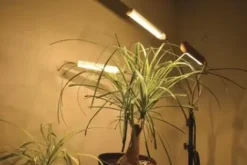 * Indoor Lighting|Cheap Patriot Lighting® Tripod 3 Light Led Grow Light