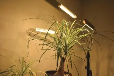 * Indoor Lighting|Cheap Patriot Lighting® Tripod 3 Light Led Grow Light