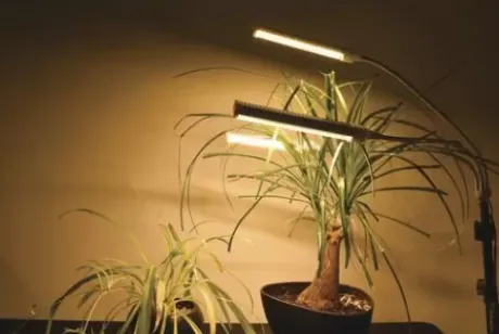 * Indoor Lighting|Cheap Patriot Lighting® Tripod 3 Light Led Grow Light