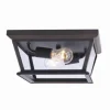 * Outdoor Lighting|Coupon Patriot Lighting® Holliday Oil-Rubbed Bronze 2-Light Outdoor Flush Mount Ceiling Light