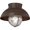 * Outdoor Lighting|Coupon Patriot Lighting® Harwich Burnished Bronze Outdoor Flush Mount Light