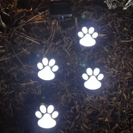 * Outdoor Lighting|Coupon Patriot Lighting® Solar Integrated Led Paw Print Landscape Light