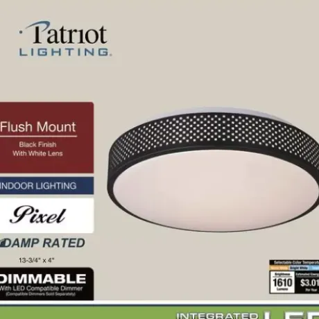 * Indoor Lighting|Deals Patriot Lighting® Pixel Black Integrated Led Flush Mount Ceiling Light