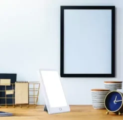 * Indoor Lighting|Flash Sale Patriot Lighting® Led Mood-Enhancing Light Therapy Lamp