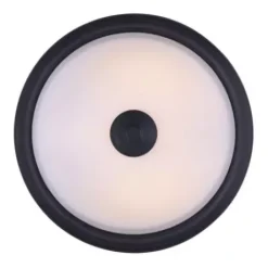 * Indoor Lighting|Hot Sale Patriot Lighting® Dee Rubbed Antique Bronze 2-Light Flush Mount Ceiling Light