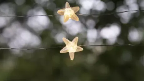 * Outdoor Lighting|Hot Sale Patriot Lighting® 7′ 2-3/8″ 20-Light Battery-Powered Starfish Led String Light