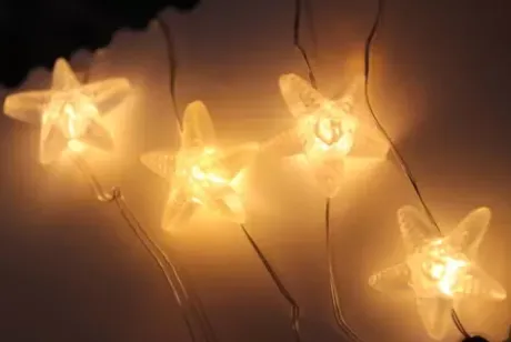 * Outdoor Lighting|Hot Sale Patriot Lighting® 7′ 2-3/8″ 20-Light Battery-Powered Starfish Led String Light