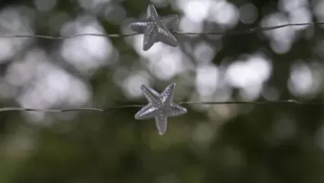 * Outdoor Lighting|Hot Sale Patriot Lighting® 7′ 2-3/8″ 20-Light Battery-Powered Starfish Led String Light