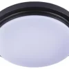 * Indoor Lighting|Hot Sale Patriot Lighting® Flinn Black Led Flush Mount Ceiling Light 2-Pack