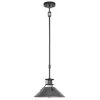 * Indoor Lighting|New Patriot Lighting® Ashtyn Matte Black & Charcoal Patina 1-Light Mini Pendant