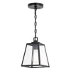 * Indoor Lighting|New Patriot Lighting® Grant Black 1 Light Mini Pendant