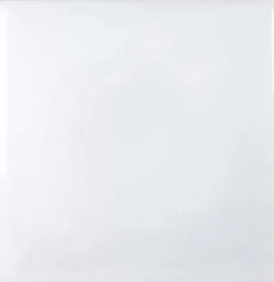 * Lighting Hardware & Accessories|New Patriot Lighting® Replacement Clip For Lens Flts125Es-Fl Only