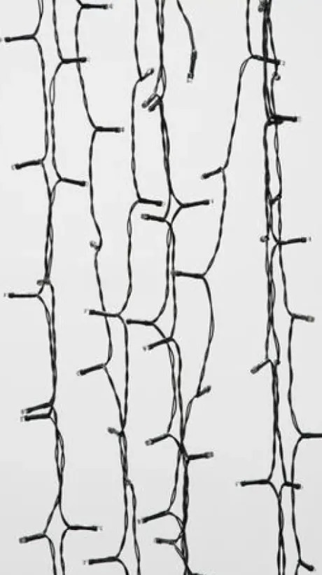 * Outdoor Lighting|Outlet Patriot Lighting® 52′ 5-1/2″ 150-Light Solar Powered Mini Led String Light