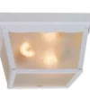 * Outdoor Lighting|Promo Patriot Lighting® Mccormick White 2-Light Flush Mount Outdoor Ceiling Light