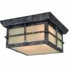 * Outdoor Lighting|Top 10 Patriot Lighting® Dayton Iron Patina 2-Light Outdoor Flush Mount Ceiling Light